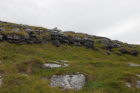 Unusually vegetated margins of country road R477 just east of before karst exposures of the Dinantian Burren Limestone Formation. Outcrop are composed of shallow water carbonates.